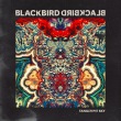 Tangerine Sky专辑 Blackbird Blackbird
